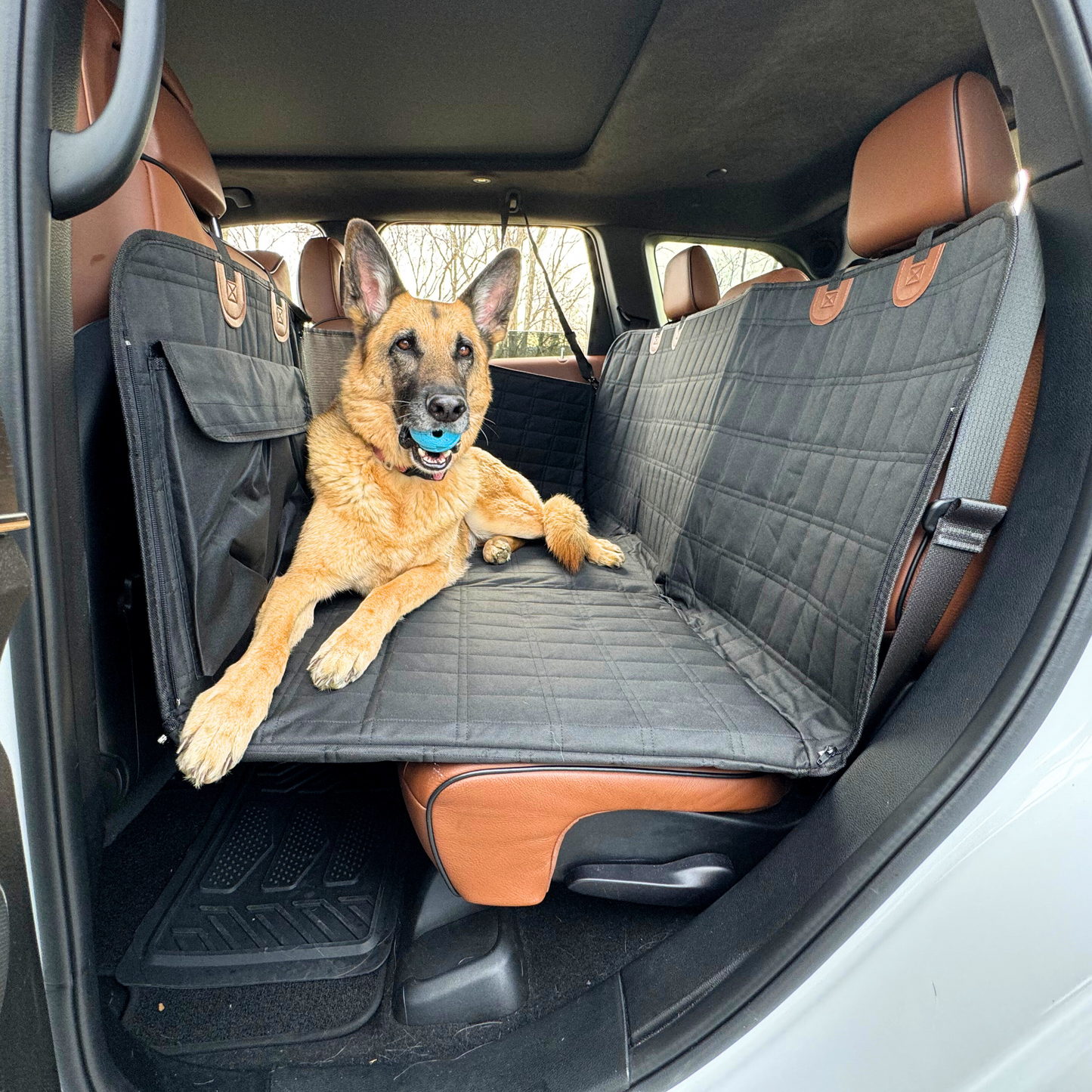 Backseat Extender for Dogs - Black with Door Covers – APetsPlanet