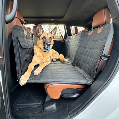 Seat extender shop for dogs