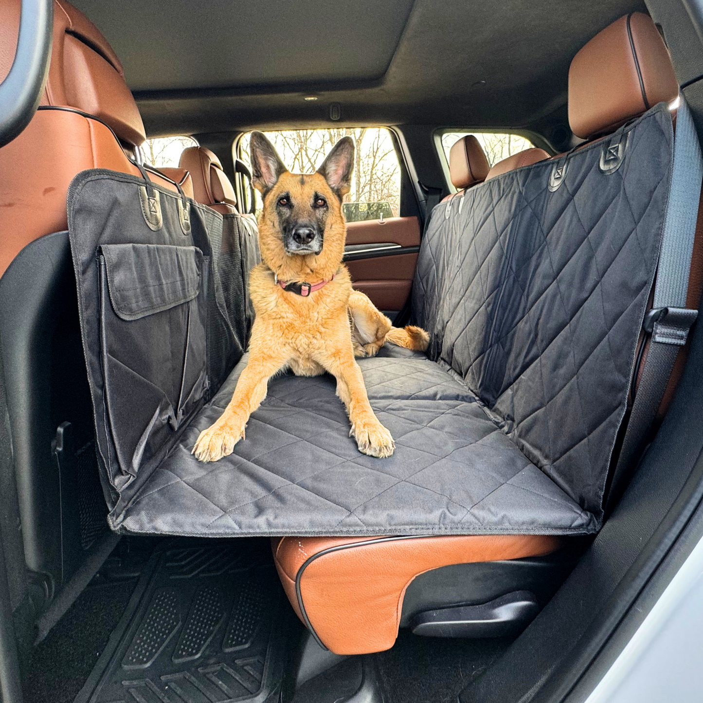 Backseat Extender for Dogs - Standard Black - No Door Covers – APetsPlanet