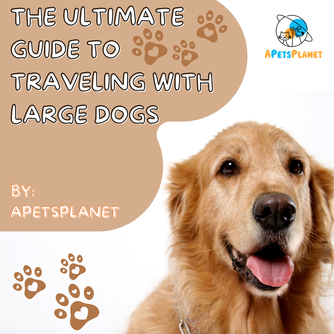 The Ultimate Guide to Traveling with Large Dogs - E-Book